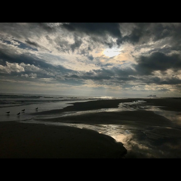 Meet your Posher, Caroline - Picture 1 of 1